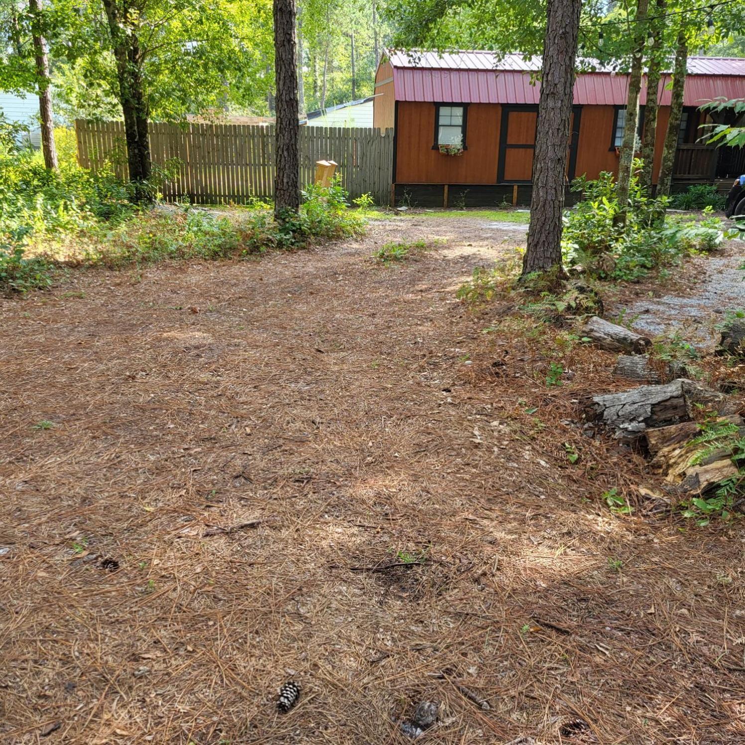 Fern Gully Cabin Conway Eksteriør bilde